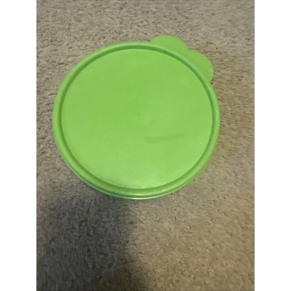 Tupperware ninja turtle